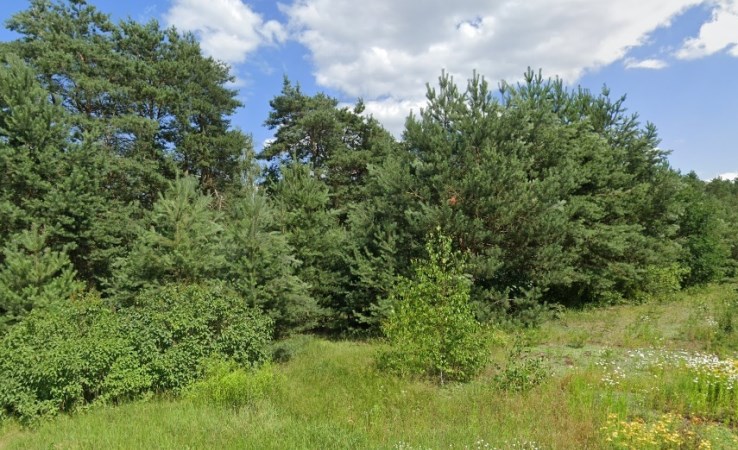 parcel for sale - Pomiechówek, Wymysły