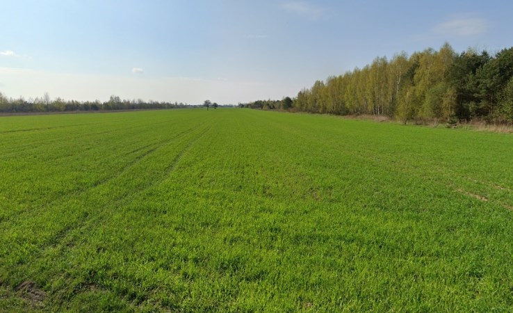 działka na sprzedaż - Wyszków (gw), Natalin