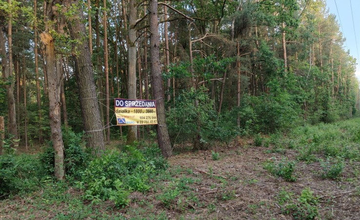 działka na sprzedaż - Raszyn, Sękocin-Las