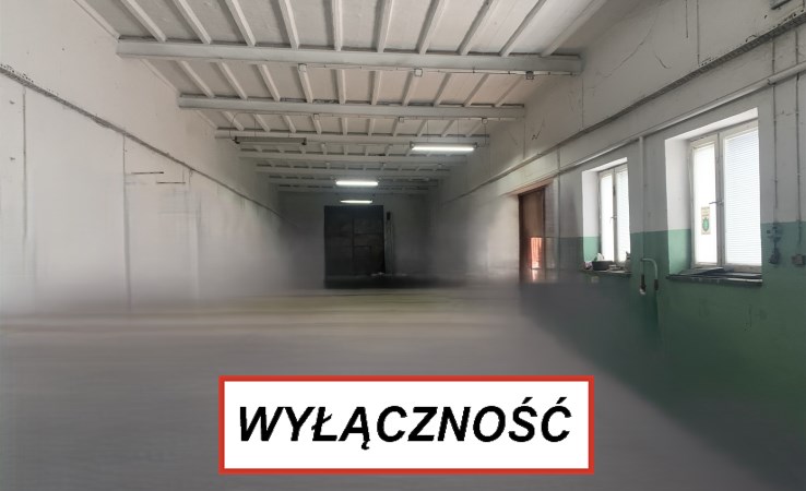 hala na sprzedaż - Czosnów
