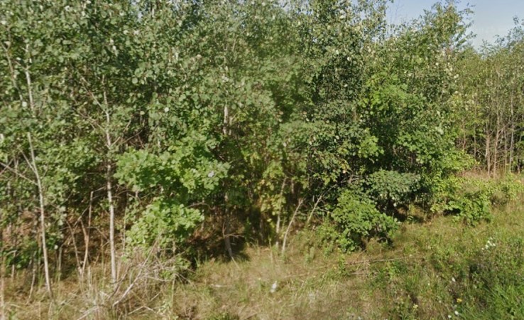 działka na sprzedaż - Czosnów, Sowia Wola