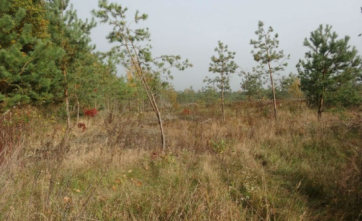działka na sprzedaż - Pomiechówek, Wymysły