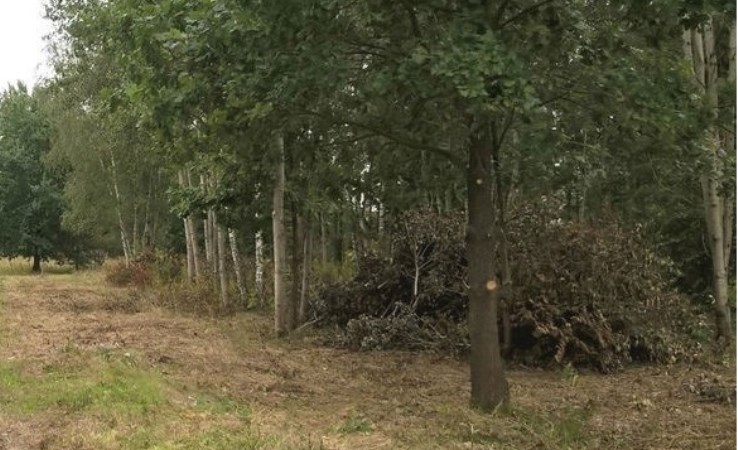 działka na sprzedaż - Leoncin, Secymin Polski