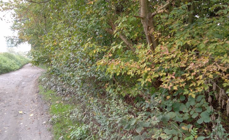 działka na sprzedaż - Łomianki (gw), Kępa Kiełpińska